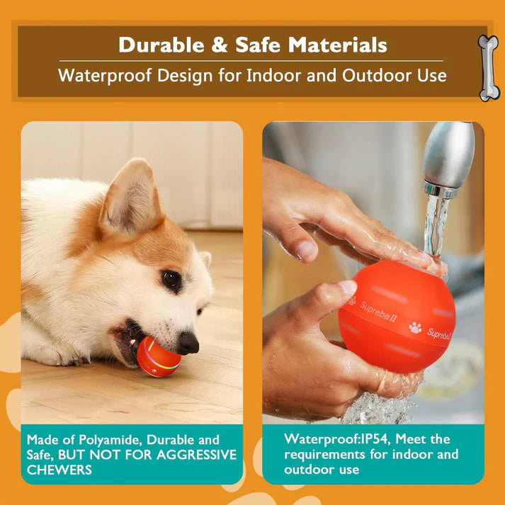 BLYZA™ Smart Dog Ball